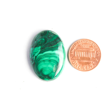 Malachite Loose Cabochons - Wholesale, Assorted shapes and Sizes